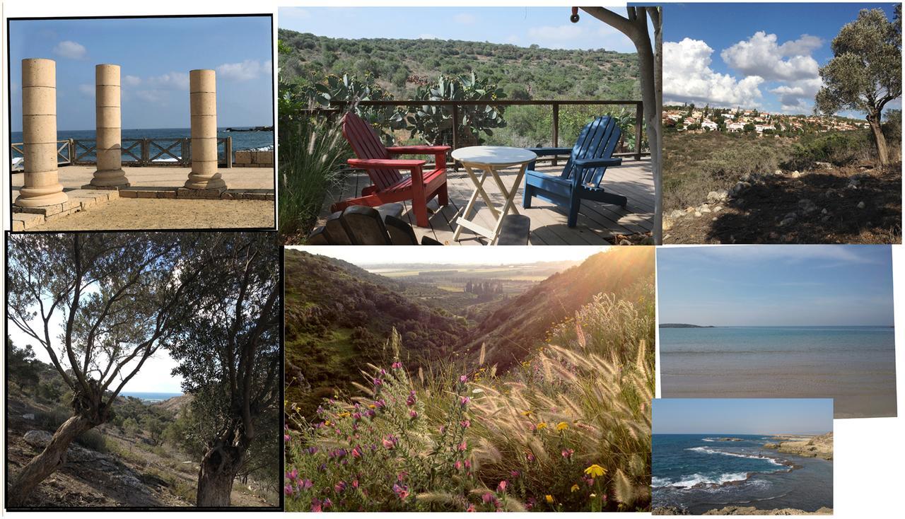 Natural Reserve Apartment Zikhron Ya'akov Dış mekan fotoğraf